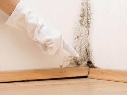 Best Mold Removal for HVAC Installations  in Darien, IL